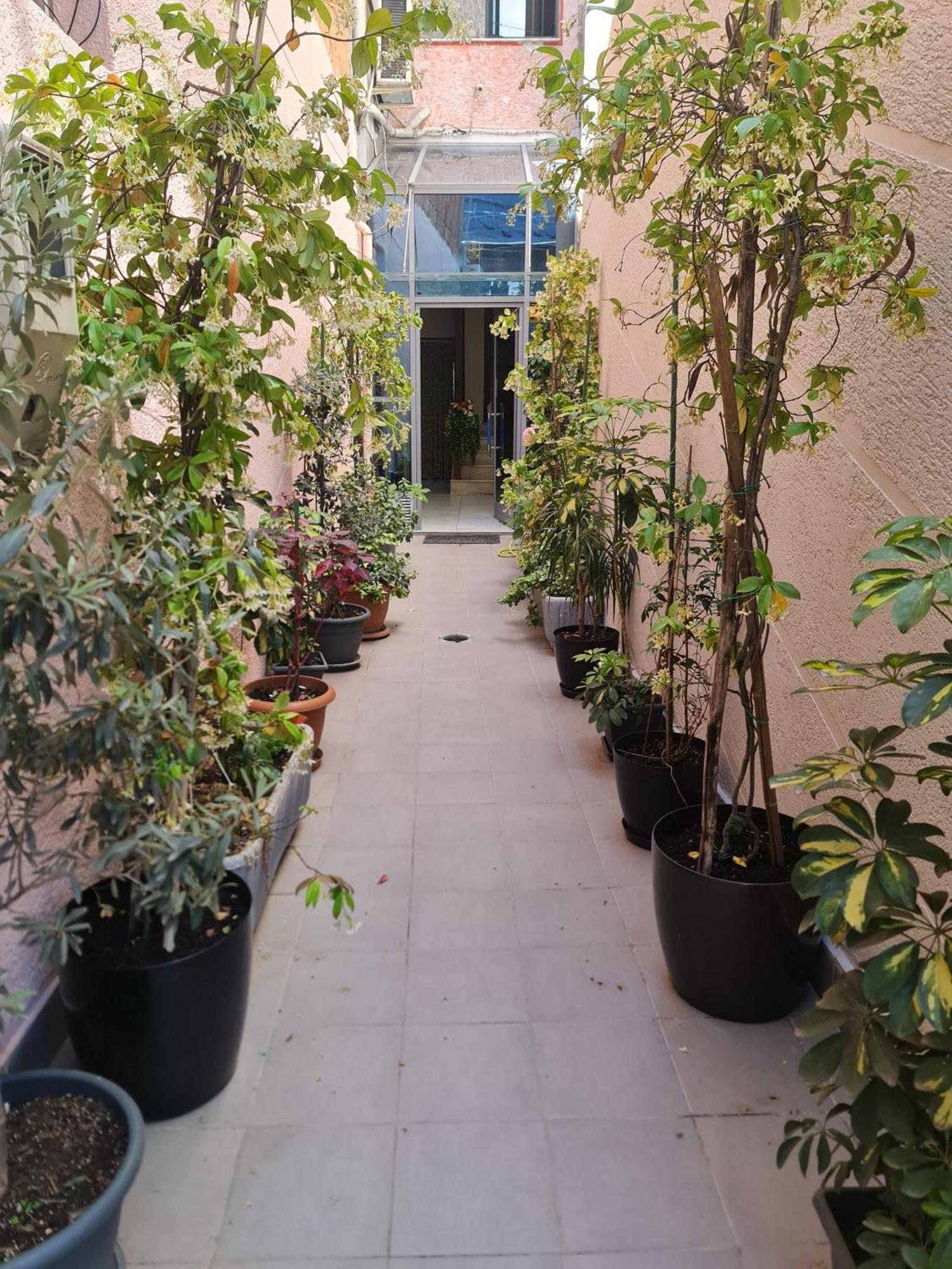 טיראנה Hotel La Villa מראה חיצוני תמונה