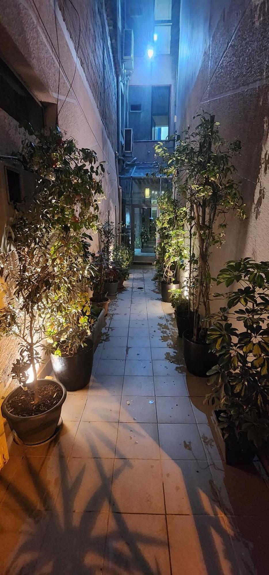 טיראנה Hotel La Villa מראה חיצוני תמונה